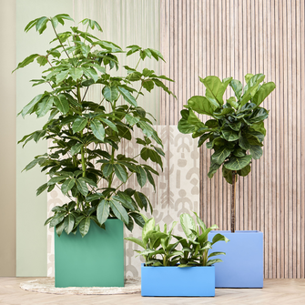 © Nieuwkoop Europe                                       © Nieuwkoop Europe