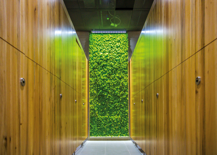 © Rubner Ingenieurholzbau © Rubner Ingenieurholzbau