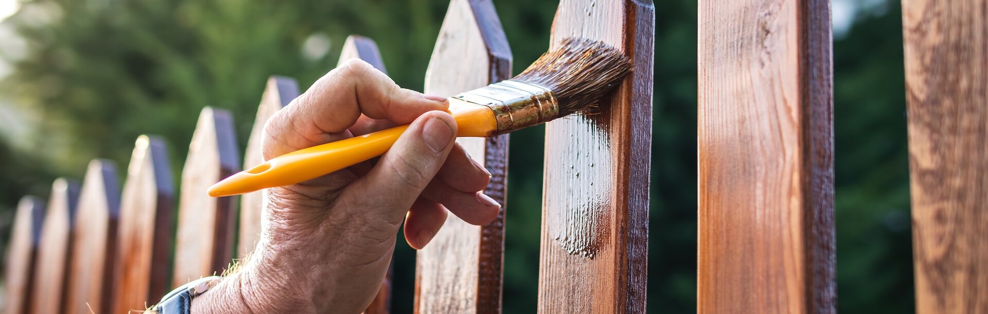 1949836102 | Man painting wood stain at timber plank in garden. Paint protective varnish on wooden picket fence at backyard 1949836102 | Man painting wood stain at timber plank in garden. Paint protective varnish on wooden picket fence at backyard